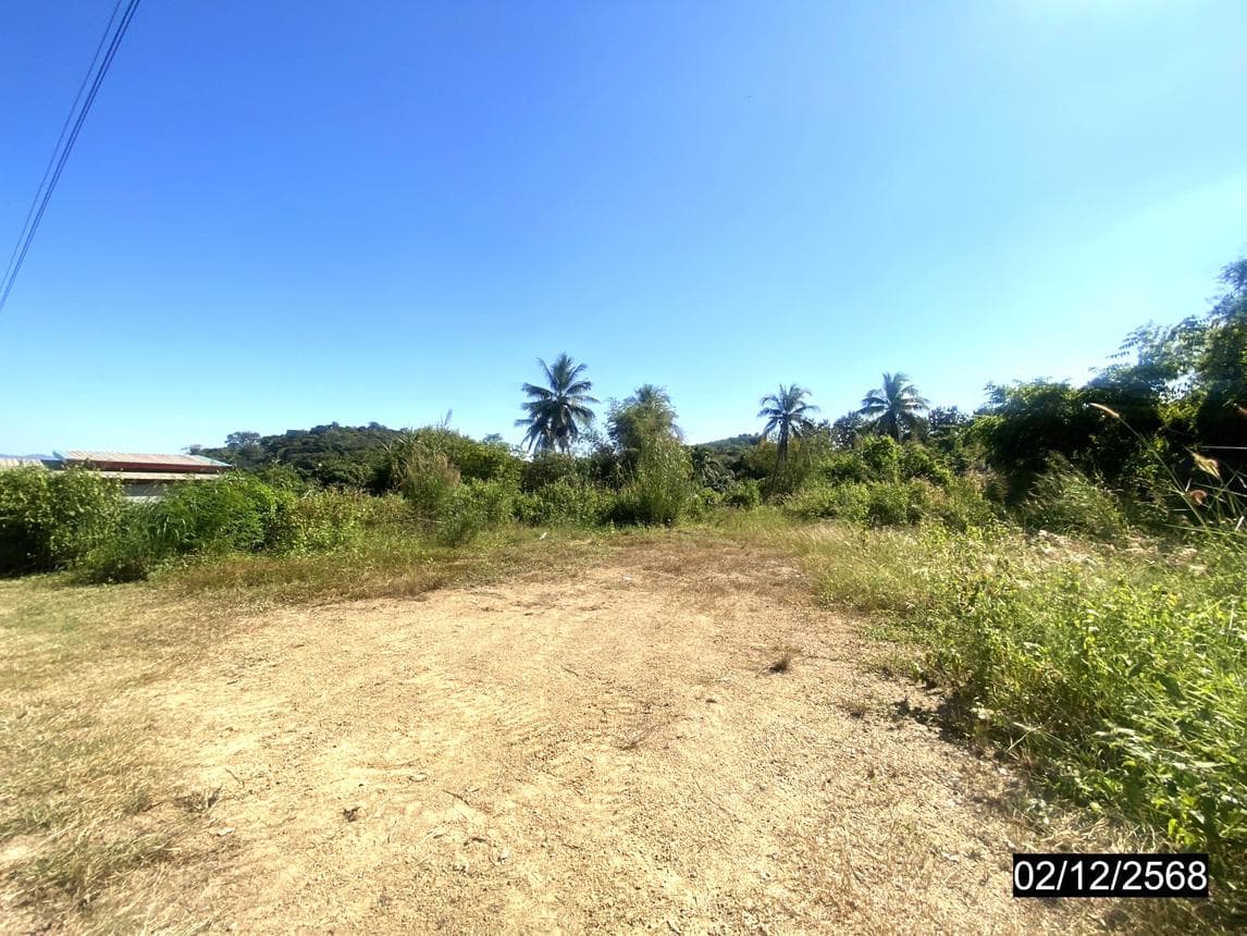 ขายที่ดินเปล่า ปากชม เลย พื้นที่ 48.1 ตร.ว. ทำเลสงบ บรรยากาศดี ราคาไม่ถึงล้านนั่นเอง