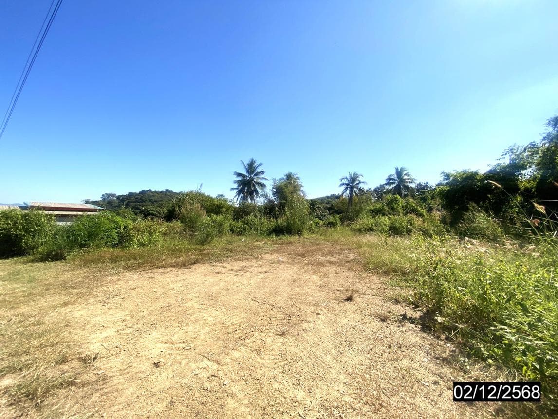 ขายที่ดินเปล่า ปากชม เลย พื้นที่ 48.1 ตร.ว. ทำเลสงบ บรรยากาศดี ราคาไม่ถึงล้านนั่นเอง