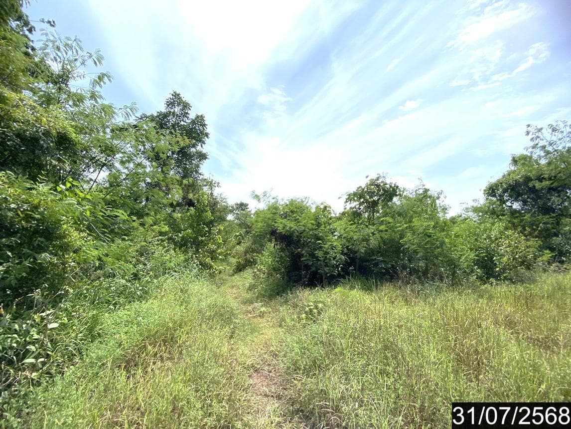 ที่ดินว่างเปล่า ทำเลศักยภาพ เชียงหวาง เพ็ญ อุดรธานี
