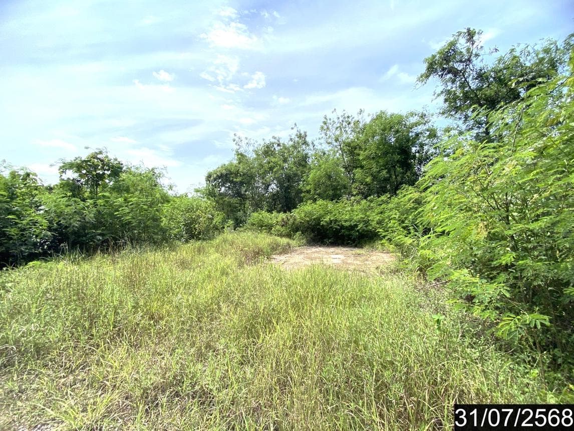 ที่ดินว่างเปล่า ทำเลศักยภาพ เชียงหวาง เพ็ญ อุดรธานี