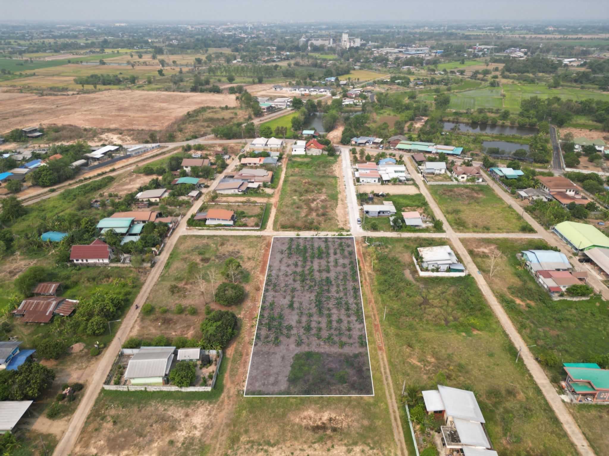 ที่ดินแปลงหัวมุมถมแล้ว 1-3-65 ไร่ ติดถนน 3 ด้าน ใกล้สามแยกซีพี อ.วังทอง จ.พิษณุโลก