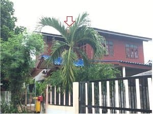 บ้านเดี่ยว เมืองร้อยเอ็ด