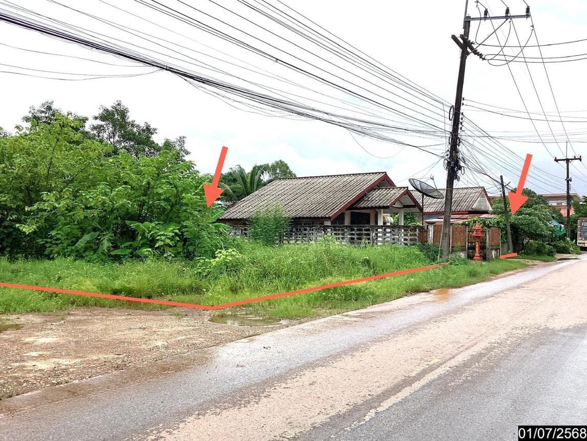 ที่ดินว่างเปล่า วิศิษฐ์ เมืองบึงกาฬ บึงกาฬ พื้นที่ 58 ตร.ว. ทำเลศักยภาพเพื่อการลงทุน