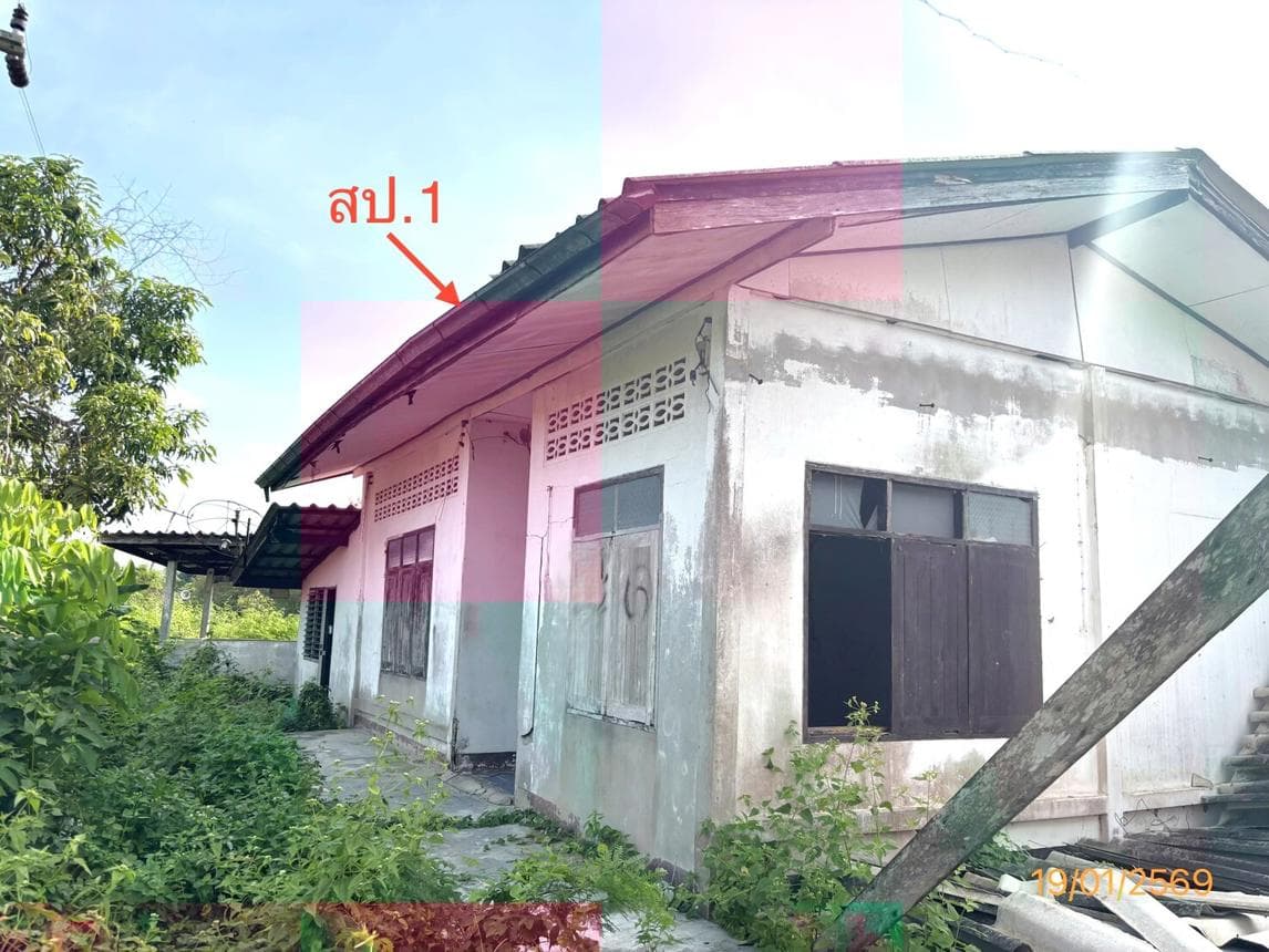 บ้านเดี่ยว 9 ห้องนอน พื้นที่ 155.25 ตร.ม. ทำเลศักยภาพ ท่าทอง กาญจนดิษฐ์ สุราษฎร์ธานี