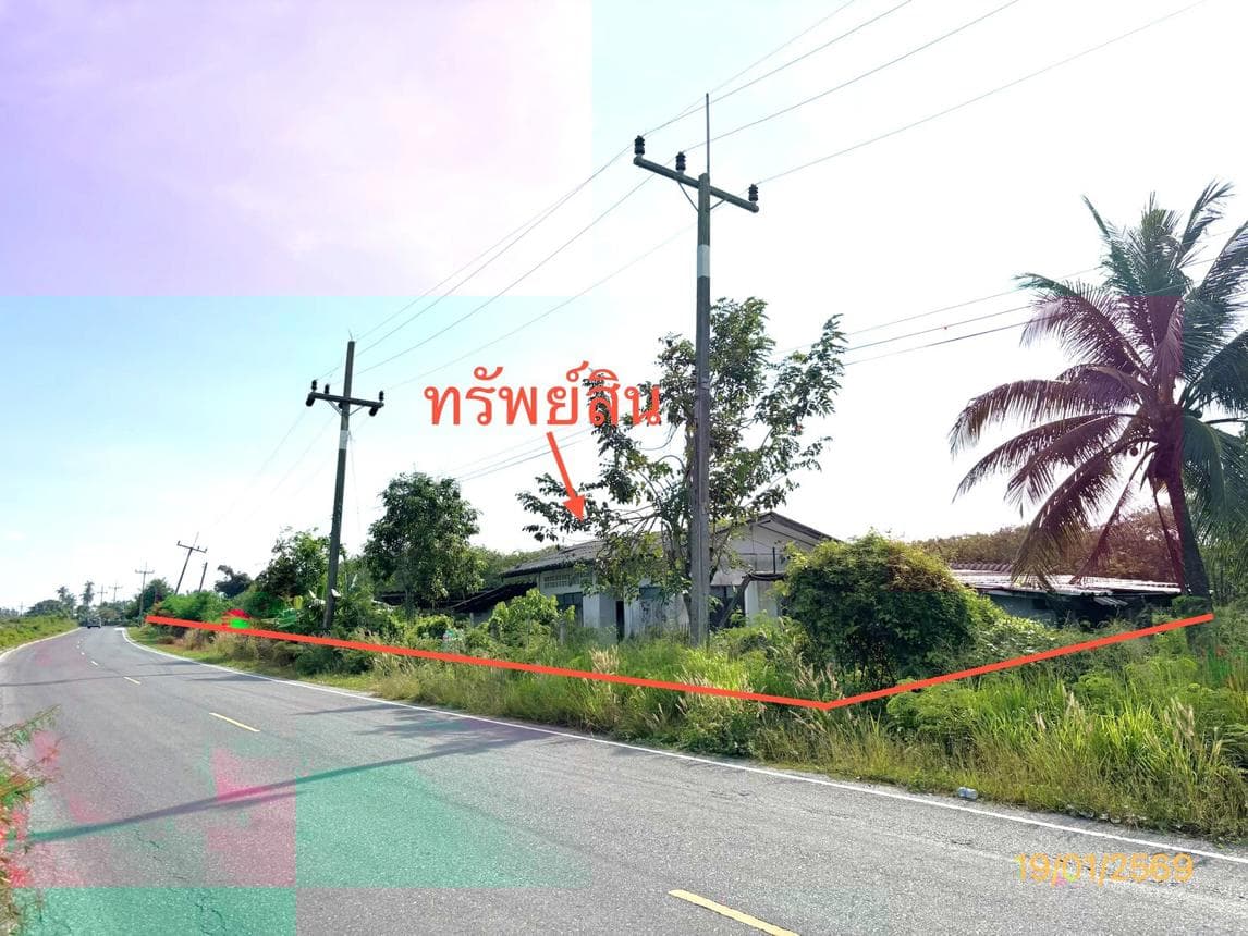 บ้านเดี่ยว 9 ห้องนอน พื้นที่ 155.25 ตร.ม. ทำเลศักยภาพ ท่าทอง กาญจนดิษฐ์ สุราษฎร์ธานี