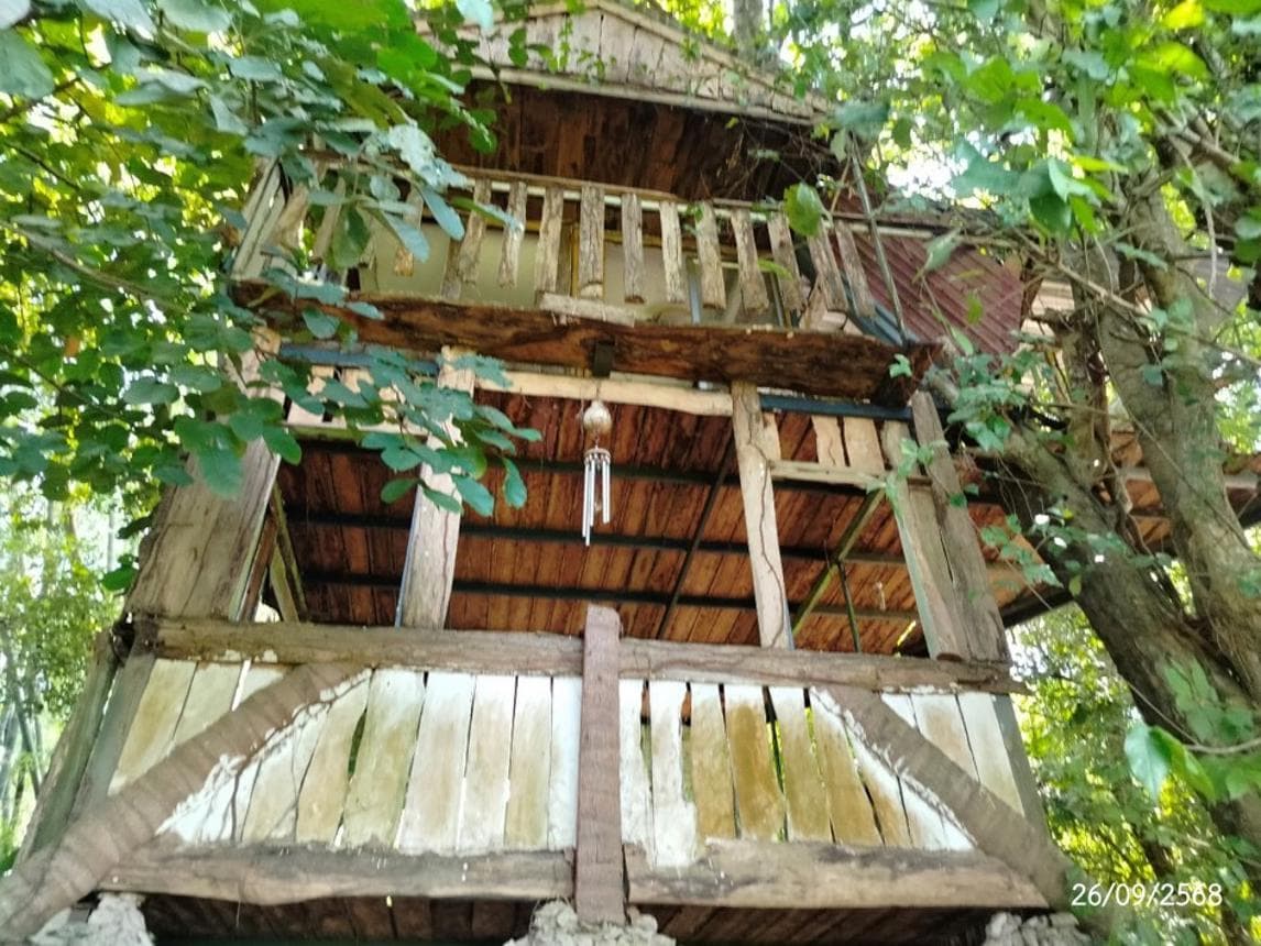 บ้านเดี่ยว พอกน้อย พรรณานิคม สกลนคร พื้นที่ 2 ตร.ว. พื้นที่ใช้สอย 24 ตร.ม. 1 ห้องนอน 1 ห้องน้ำ