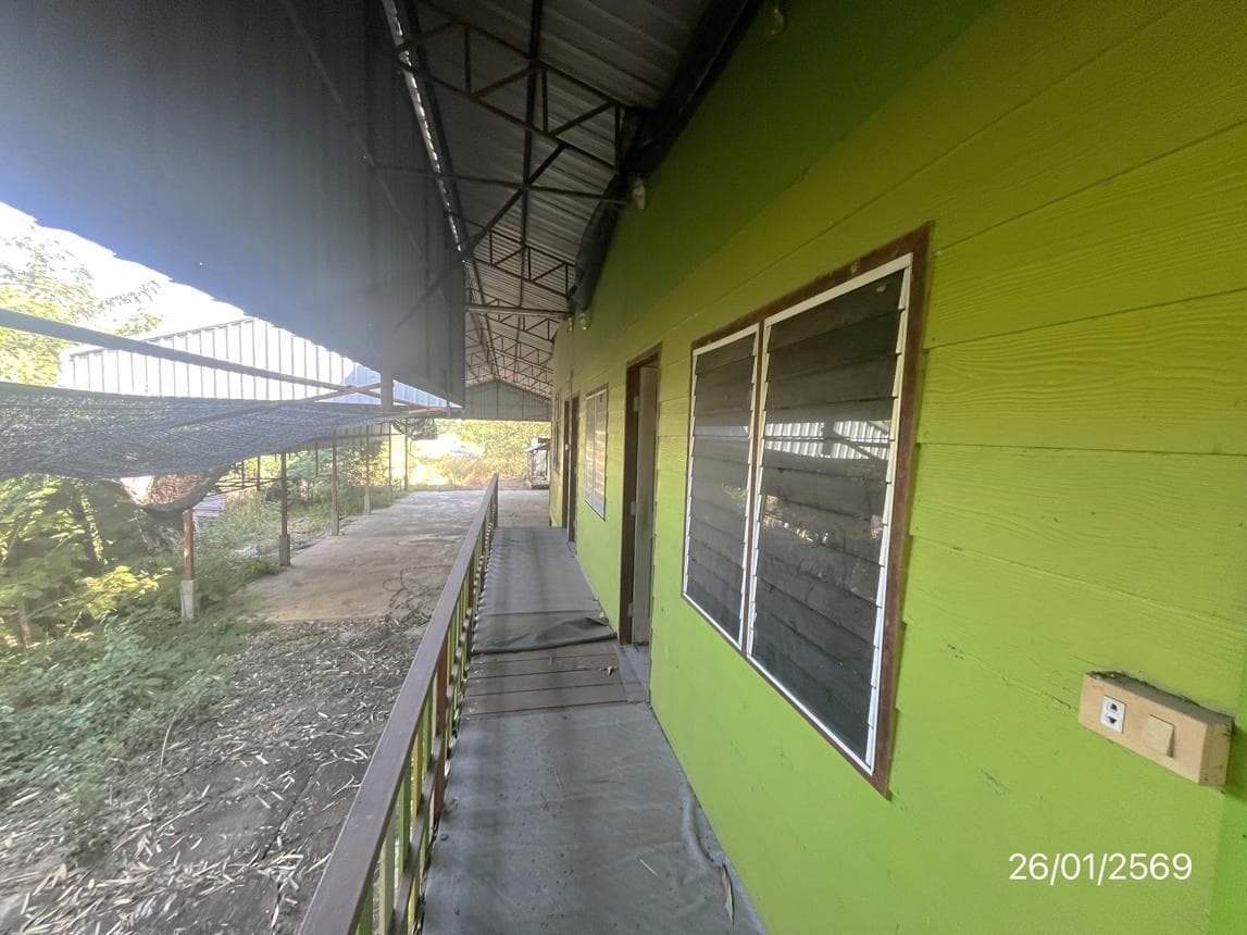 ขายบ้านเดี่ยว 3 ห้องนอน 3 ห้องน้ำ วังพิกุล วังทอง พิษณุโลก พื้นที่กว้าง 62 ตร.ว. ทำเลเงียบสงบ