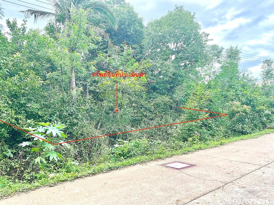 ที่ดินทำเลดี กุยบุรี ประจวบคีรีขันธ์ 62 ตร.ว. ราคาไม่ถึงล้าน เหมาะสร้างบ้านพักหรือทำเกษตรพอเพียง