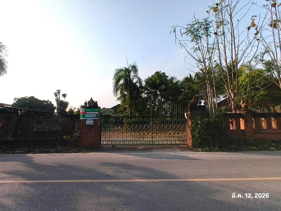 ขายบ้านเดี่ยว แม่แรง ป่าซาง ลำพูน 3 ห้องนอน ฟังก์ชันครบ พื้นที่ 61 ตร.ว. บรรยากาศส่วนตัว