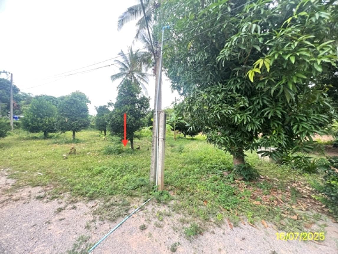 บ้านเดี่ยว หนองตากยา ท่าม่วง กาญจนบุรี 3 ห้องนอน พื้นที่กว้าง 234 ตร.ม. บรรยากาศดี พักผ่อนได้เต็มที่