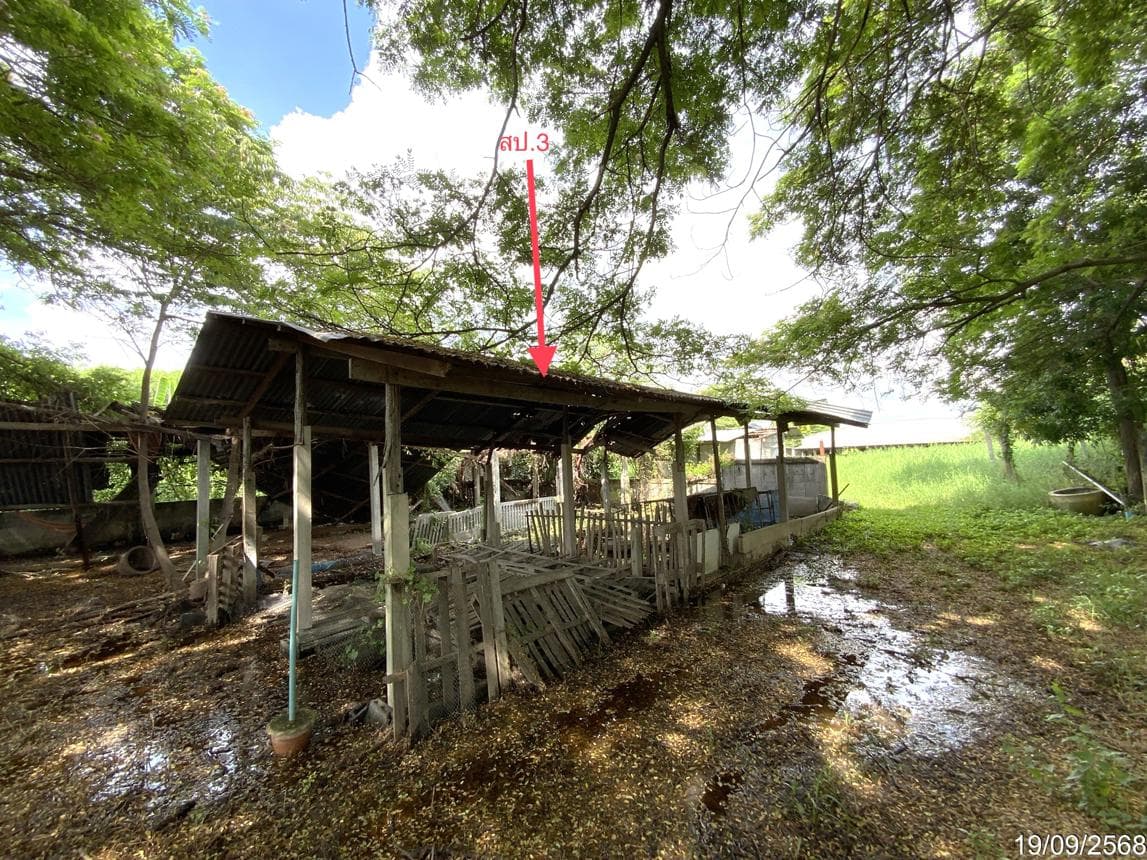 ขายฟาร์มพร้อมสิ่งปลูกสร้าง พื้นที่ใช้สอยกว้าง 1,370 ตร.ม. ทำเลบ้านเบิก ท่าวุ้ง ลพบุรี สเปซจัดเต็ม เหมาะสำหรับลงทุนเกษตรยุคใหม่