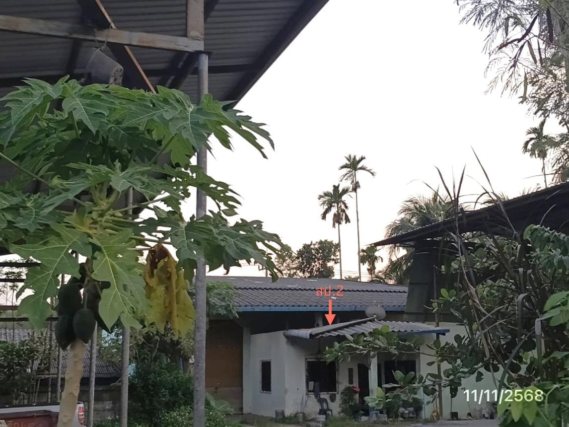 ขายโกดัง ควนลัง หาดใหญ่ สงขลา พื้นที่ 64 ตร.ว. พื้นที่ใช้สอย 286 ตร.ม. ทำเลศูนย์กระจายสินค้า