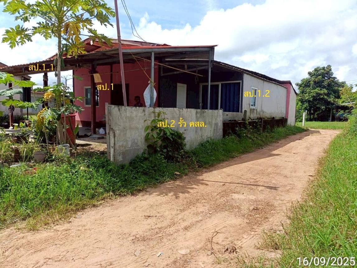 บ้านเดี่ยว อาจสามารถ ร้อยเอ็ด 2 ห้องนอน 1 ห้องน้ำ พื้นที่กว้าง 158.5 ตร.ม. บนเนื้อที่ 51.7 ตร.ว. ทำเลสงบราคาล้านต้นๆ