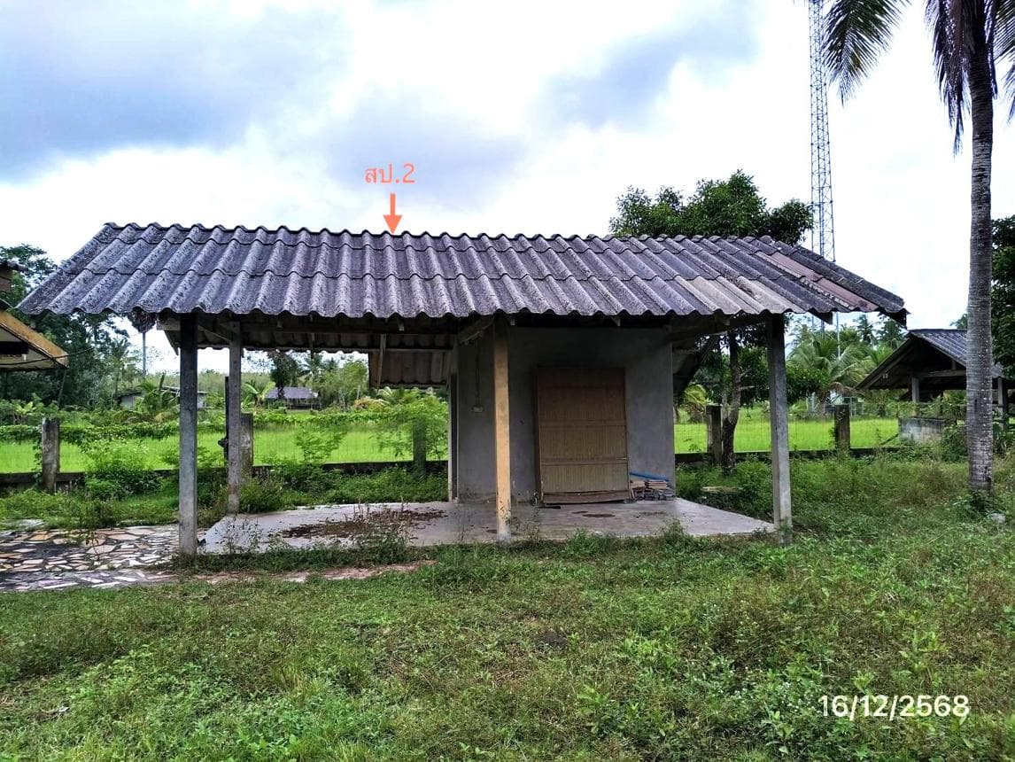 ขายบ้านเดี่ยว ควนขนุน ควนขนุน พัทลุง พื้นที่ 80 ตร.ว. พื้นที่ใช้สอย 108 ตร.ม. 2 ห้องนอน 1 ห้องน้ำ