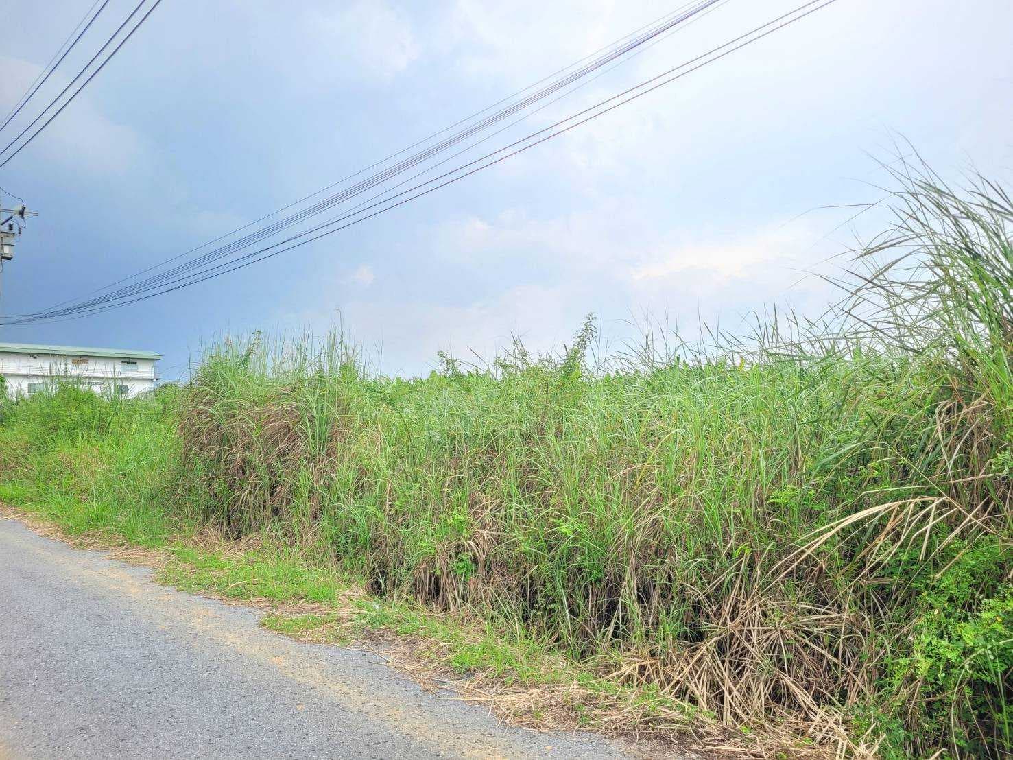 ขาย ที่ดิน ซอยร่มเกล้า 52/2/2 ขนาด 1-4-74 ไร่ ใกล้สนามบินสุวรรณภูมิเหมาะทำโกดัง