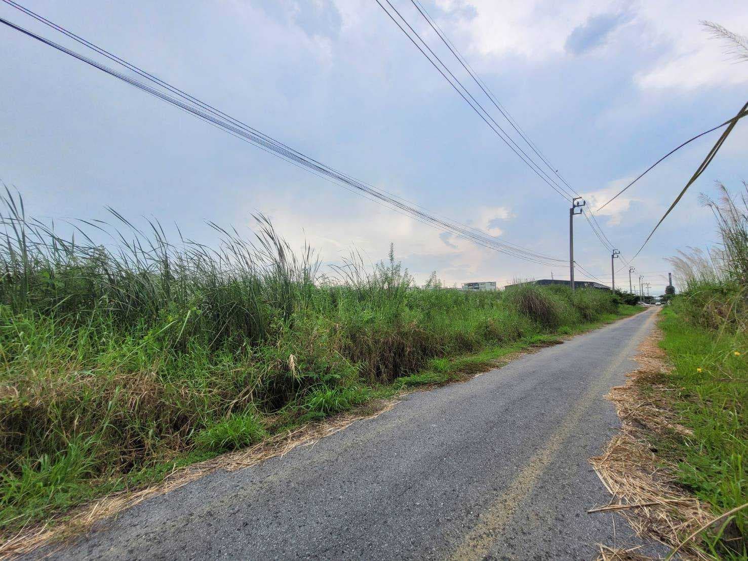 ขาย ที่ดิน ซอยร่มเกล้า 52/2/2 ขนาด 1-4-74 ไร่ ใกล้สนามบินสุวรรณภูมิเหมาะทำโกดัง