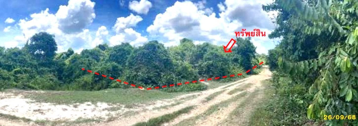 ที่ดินว่างเปล่า ลำภู เมืองนราธิวาส นราธิวาส เนื้อที่ 96.2 ตร.ว. ทำเลศักยภาพติดแหล่งชุมชน เหมาะแก่การสร้างบ้านหรือลงทุน