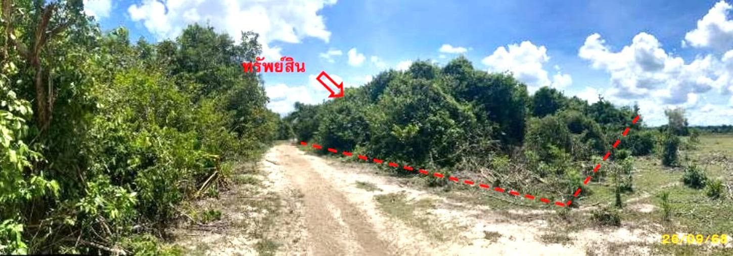 ที่ดินว่างเปล่า ลำภู เมืองนราธิวาส นราธิวาส เนื้อที่ 96.2 ตร.ว. ทำเลศักยภาพติดแหล่งชุมชน เหมาะแก่การสร้างบ้านหรือลงทุน