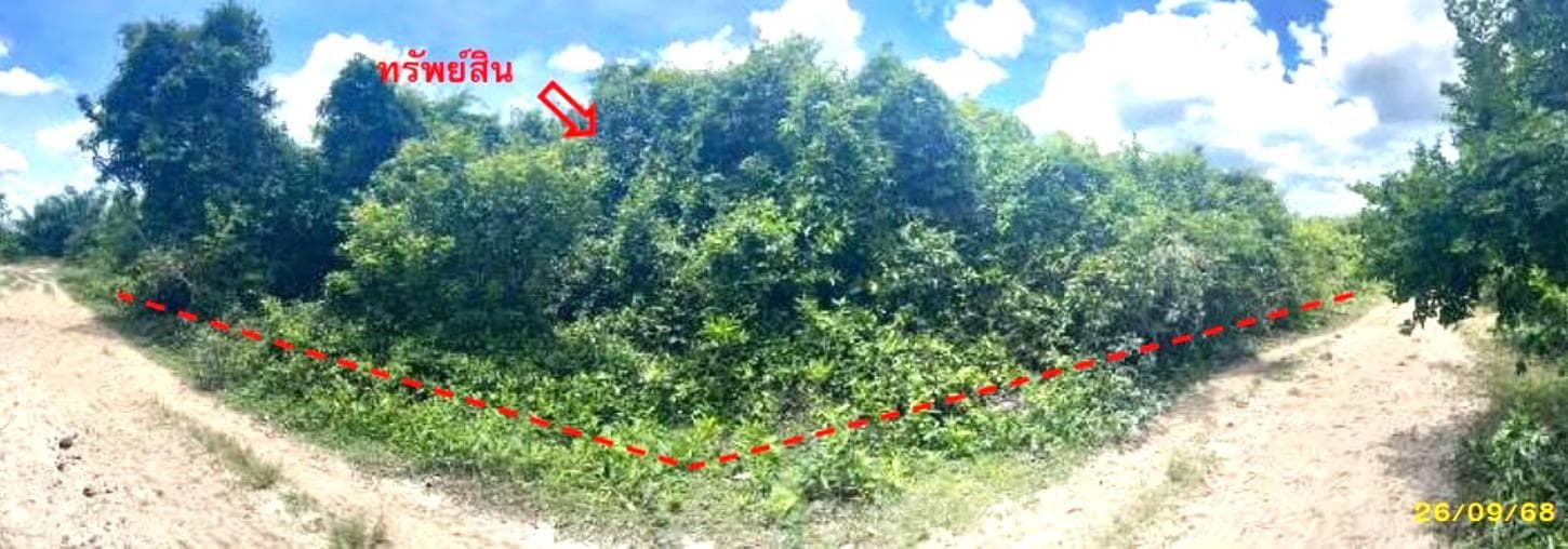 ที่ดินว่างเปล่า ลำภู เมืองนราธิวาส นราธิวาส เนื้อที่ 96.2 ตร.ว. ทำเลศักยภาพติดแหล่งชุมชน เหมาะแก่การสร้างบ้านหรือลงทุน