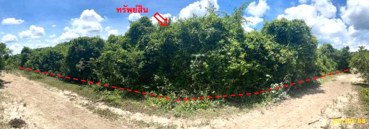 ที่ดินว่างเปล่า ลำภู เมืองนราธิวาส นราธิวาส เนื้อที่ 96.2 ตร.ว. ทำเลศักยภาพติดแหล่งชุมชน เหมาะแก่การสร้างบ้านหรือลงทุน