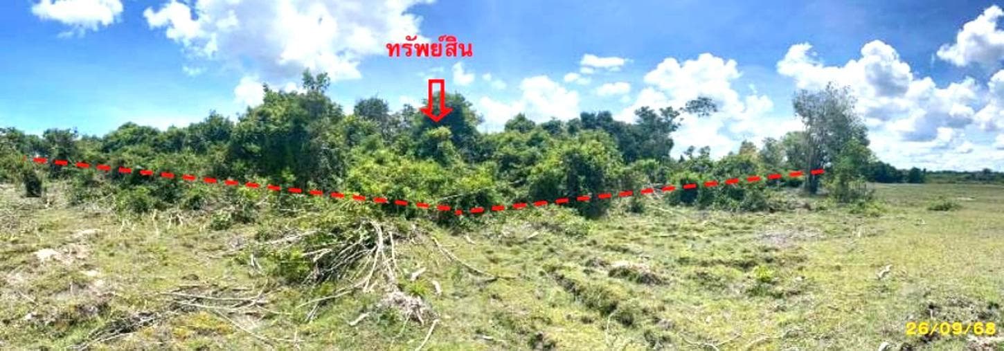 ที่ดินว่างเปล่า ลำภู เมืองนราธิวาส นราธิวาส เนื้อที่ 96.2 ตร.ว. ทำเลศักยภาพติดแหล่งชุมชน เหมาะแก่การสร้างบ้านหรือลงทุน