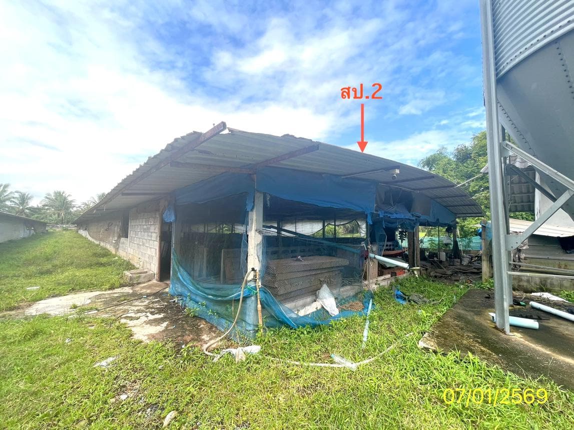 ขายฟาร์ม ตำนาน เมืองพัทลุง พัทลุง พื้นที่ใช้สอย 888 ตร.ม. ทำเลธุรกิจ
