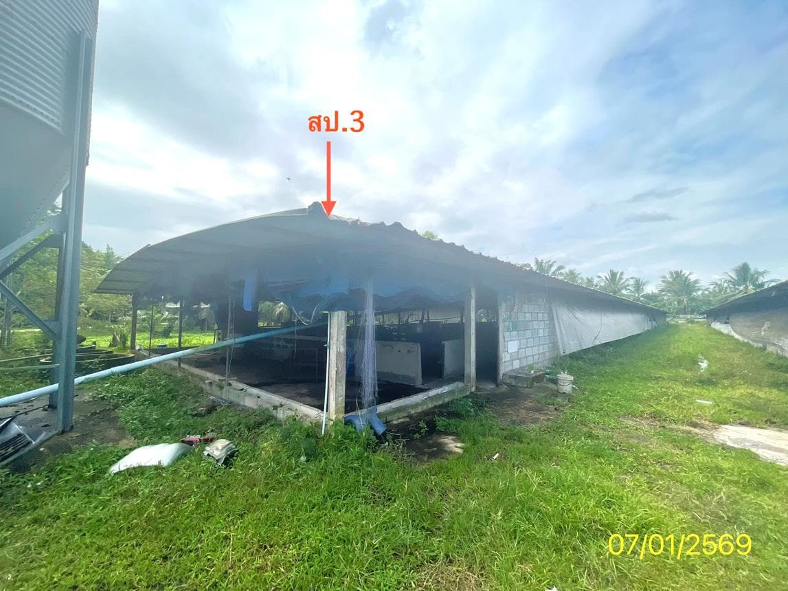 ขายฟาร์ม ตำนาน เมืองพัทลุง พัทลุง พื้นที่ใช้สอย 888 ตร.ม. ทำเลธุรกิจ