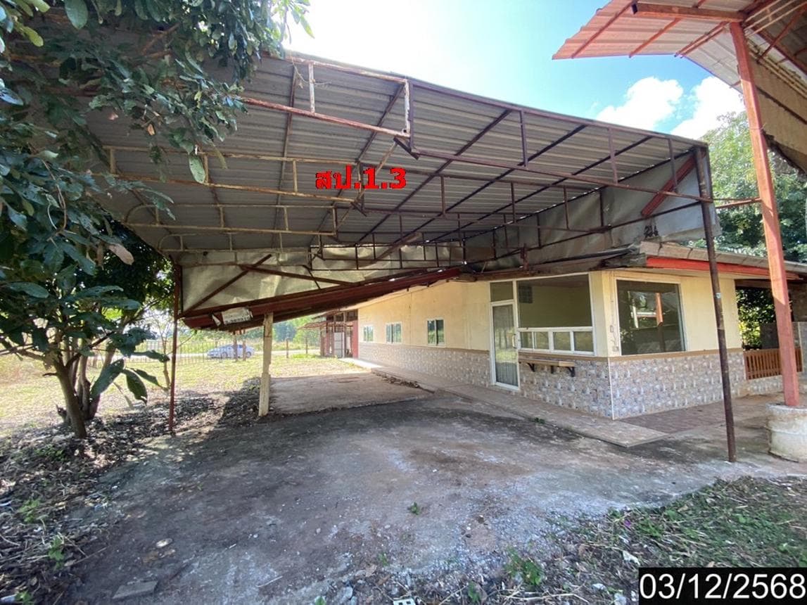 บ้านเดี่ยว 3 ห้องนอน พื้นที่ 453.5 ตร.ม. ทำเลศักยภาพ ศรีธาตุ ศรีธาตุ อุดรธานี