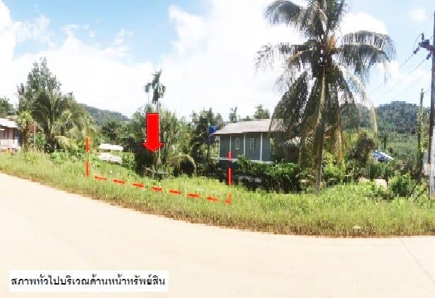 ที่ดินว่างเปล่า เกาะลันตา-กระบี่