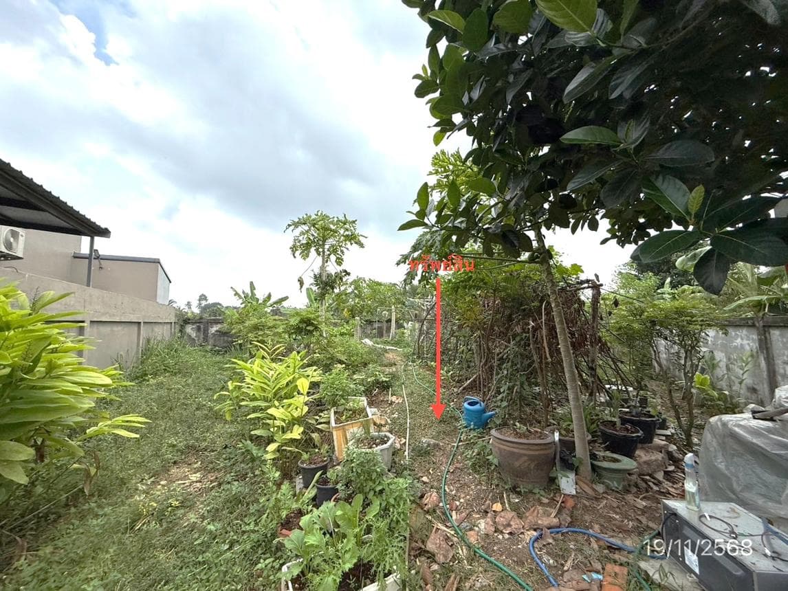 ขายที่ดิน วีร่า วิลเลจ หนองขาม ศรีราชา ชลบุรี พื้นที่ 69.1 ตร.ว.