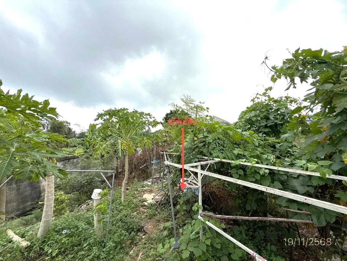 ขายที่ดิน วีร่า วิลเลจ หนองขาม ศรีราชา ชลบุรี พื้นที่ 69.1 ตร.ว.
