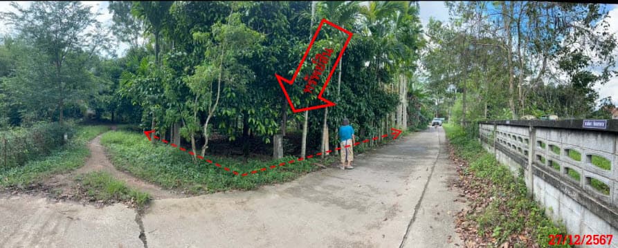 ที่ดินพร้อมสิ่งปลูกสร้าง ควนขนุน พัทลุง