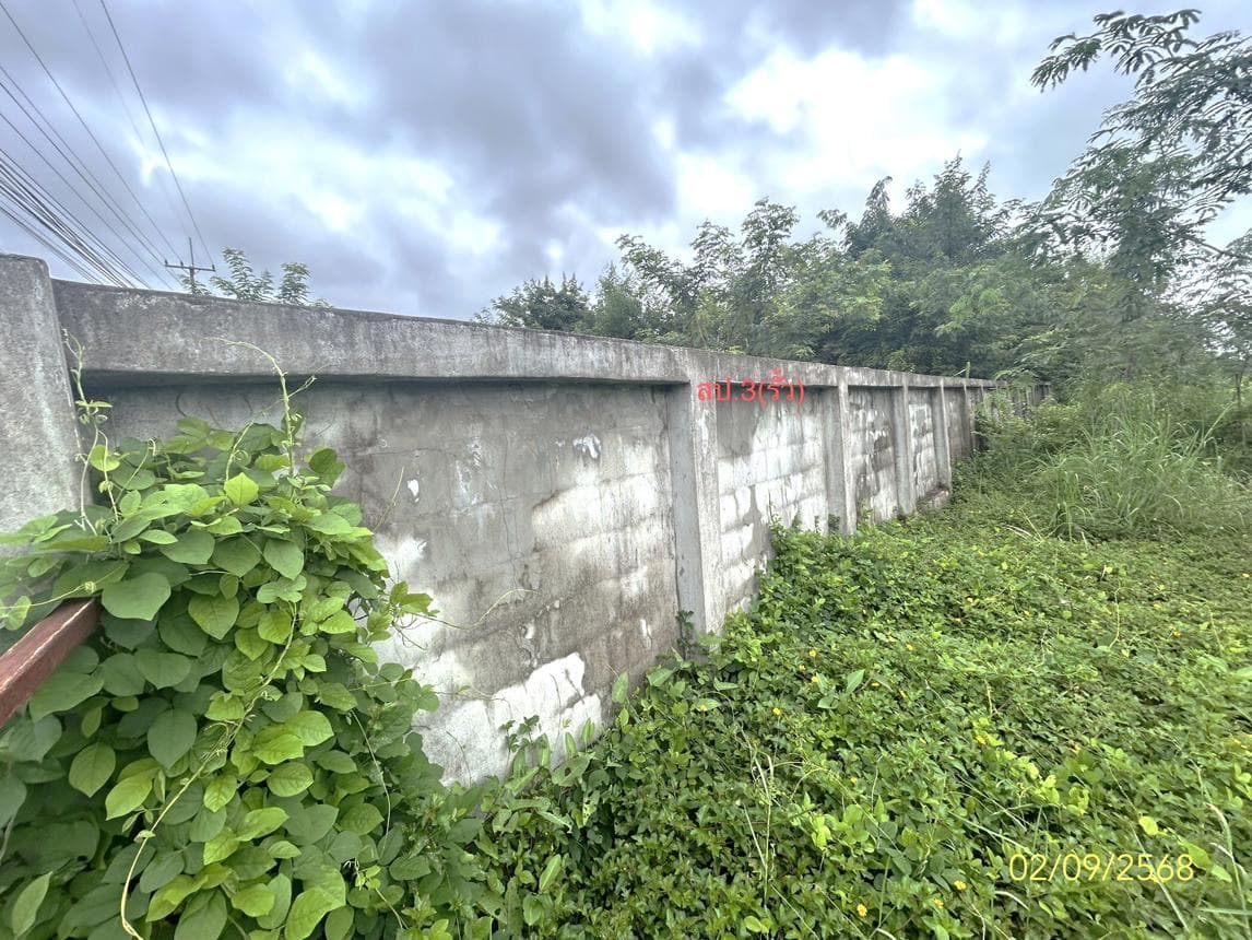 บ้านเดี่ยว หนองเมือง ม่วงสามสิบ อุบลราชธานี พื้นที่กว้างขวาง 211.75 ตร.ม. 3 ห้องนอน