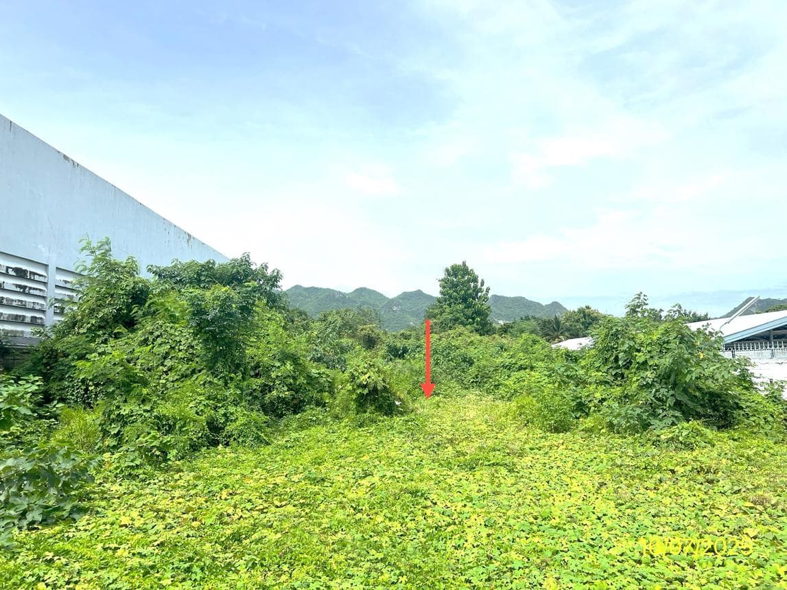 ที่ดินว่างเปล่า เนื้อที่ 43.1 ตร.ว. ทำเลศักยภาพ ท่าล้อ ท่าม่วง กาญจนบุรี