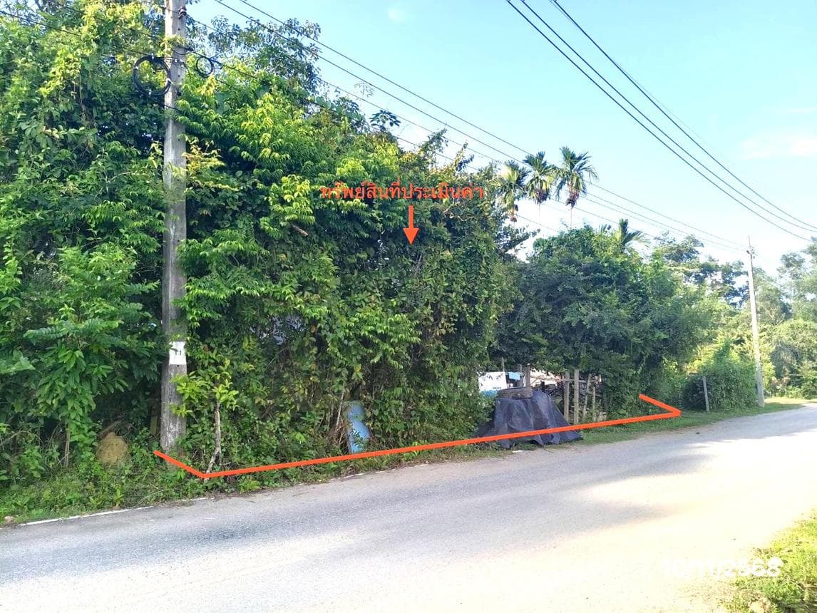 ขายที่ดินเปล่า หาดใหญ่ สงขลา ทำเลควนลัง เหมาะสำหรับสร้างที่อยู่อาศัยและลงทุน