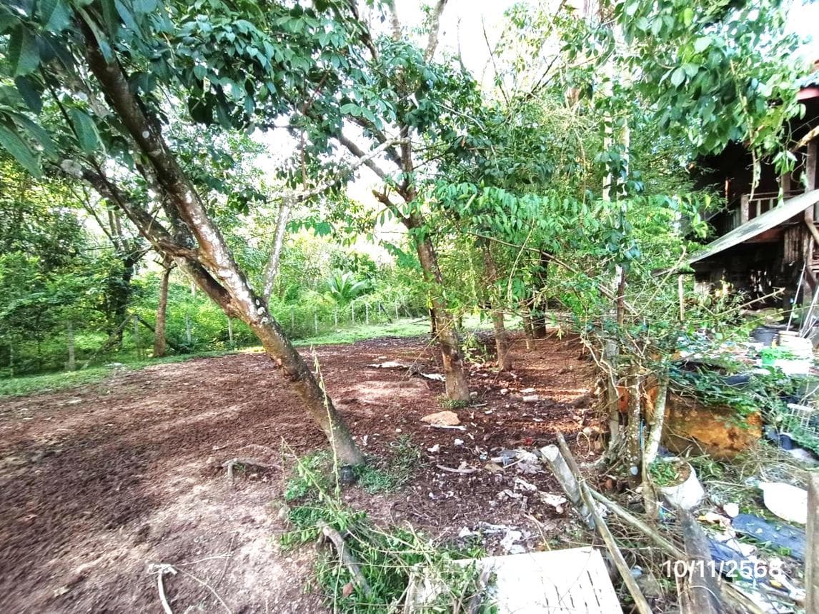 ขายที่ดินเปล่า หาดใหญ่ สงขลา ทำเลควนลัง เหมาะสำหรับสร้างที่อยู่อาศัยและลงทุน