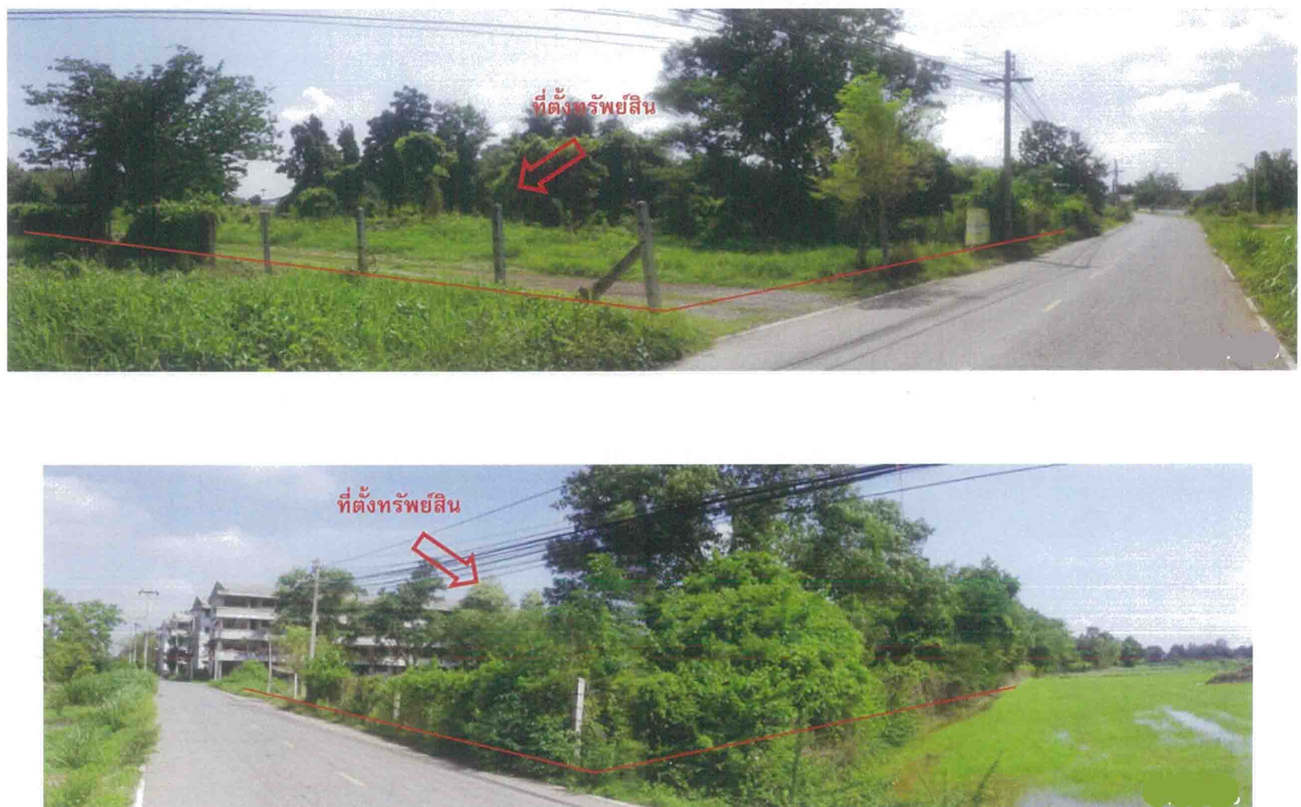 ที่ดินเปล่า วังทอง พิษณุโลก