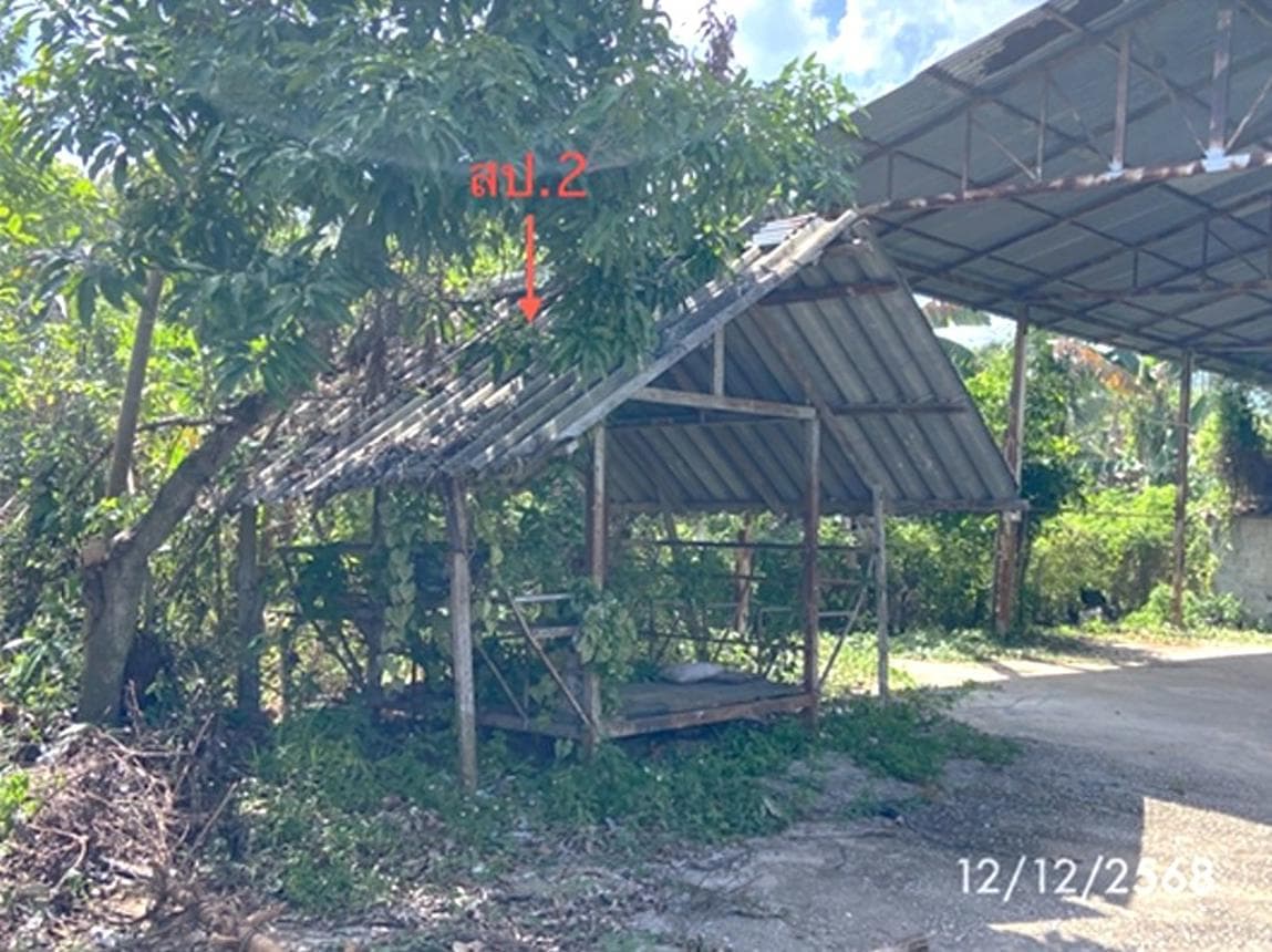 ขายบ้านเดี่ยว สะเดา สงขลา ทำเลปาดังเบซาร์ เนื้อที่ 69 ตร.ว. พื้นที่ใช้สอย 159.75 ตร.ม. 2 ห้องนอน 2 ห้องน้ำ สภาพดี พร้อมอยู่