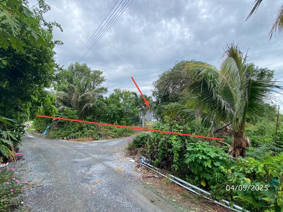 บ้านเดี่ยว บางระกำ นครชัยศรี นครปฐม 3 ห้องนอน 2 ห้องน้ำ พื้นที่กว้างขวาง 206 ตร.ม. บนทำเลเงียบสงบเดินทางสะดวกเข้าเมืองง่าย ราคาพิเศษ 6.42 ล้าน