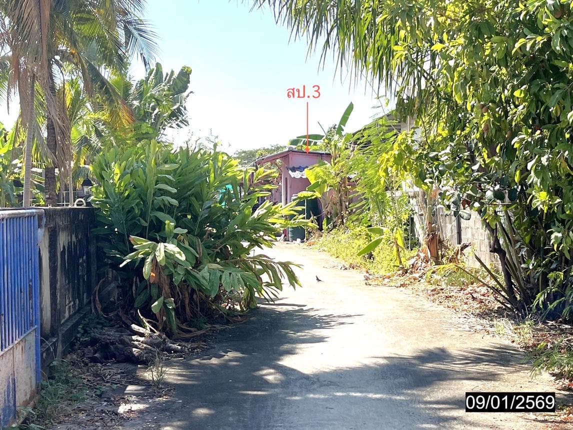 บ้านเดี่ยวทำเลศักยภาพ ตลาด เมืองมหาสารคาม มหาสารคาม พื้นที่ใช้สอย 317 ตร.ม.