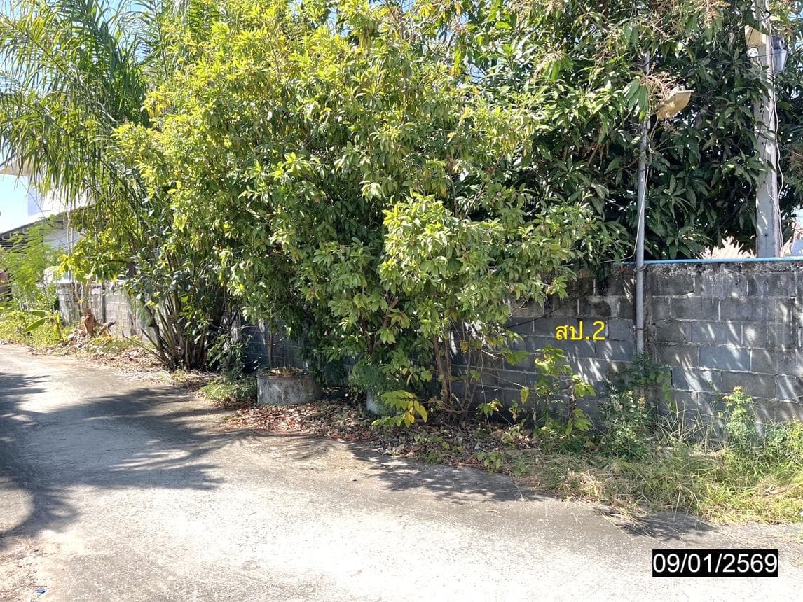 บ้านเดี่ยวทำเลศักยภาพ ตลาด เมืองมหาสารคาม มหาสารคาม พื้นที่ใช้สอย 317 ตร.ม.