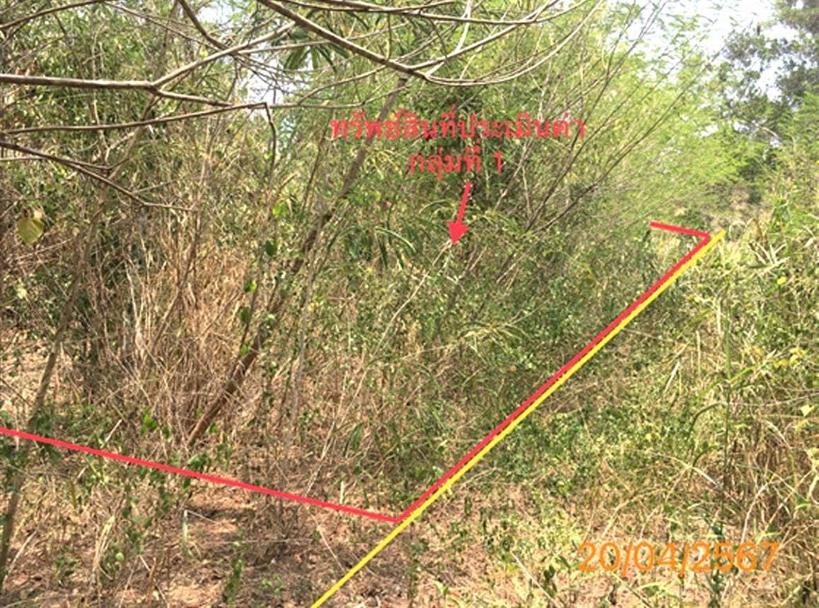 ขายที่ดิน คลองท่อม ทำเลคลองท่อมใต้ กระบี่ ขนาด 63 ตร.ว. ทำเลศักยภาพ