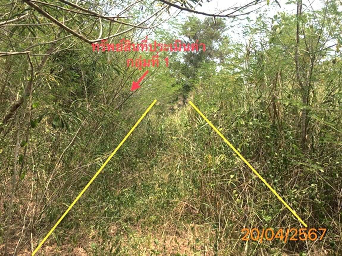 ขายที่ดิน คลองท่อม ทำเลคลองท่อมใต้ กระบี่ ขนาด 63 ตร.ว. ทำเลศักยภาพ
