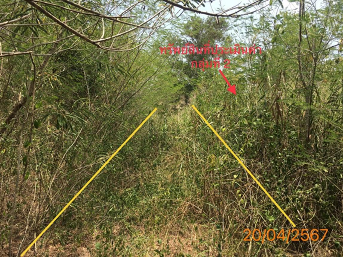 ขายที่ดิน คลองท่อม ทำเลคลองท่อมใต้ กระบี่ ขนาด 63 ตร.ว. ทำเลศักยภาพ