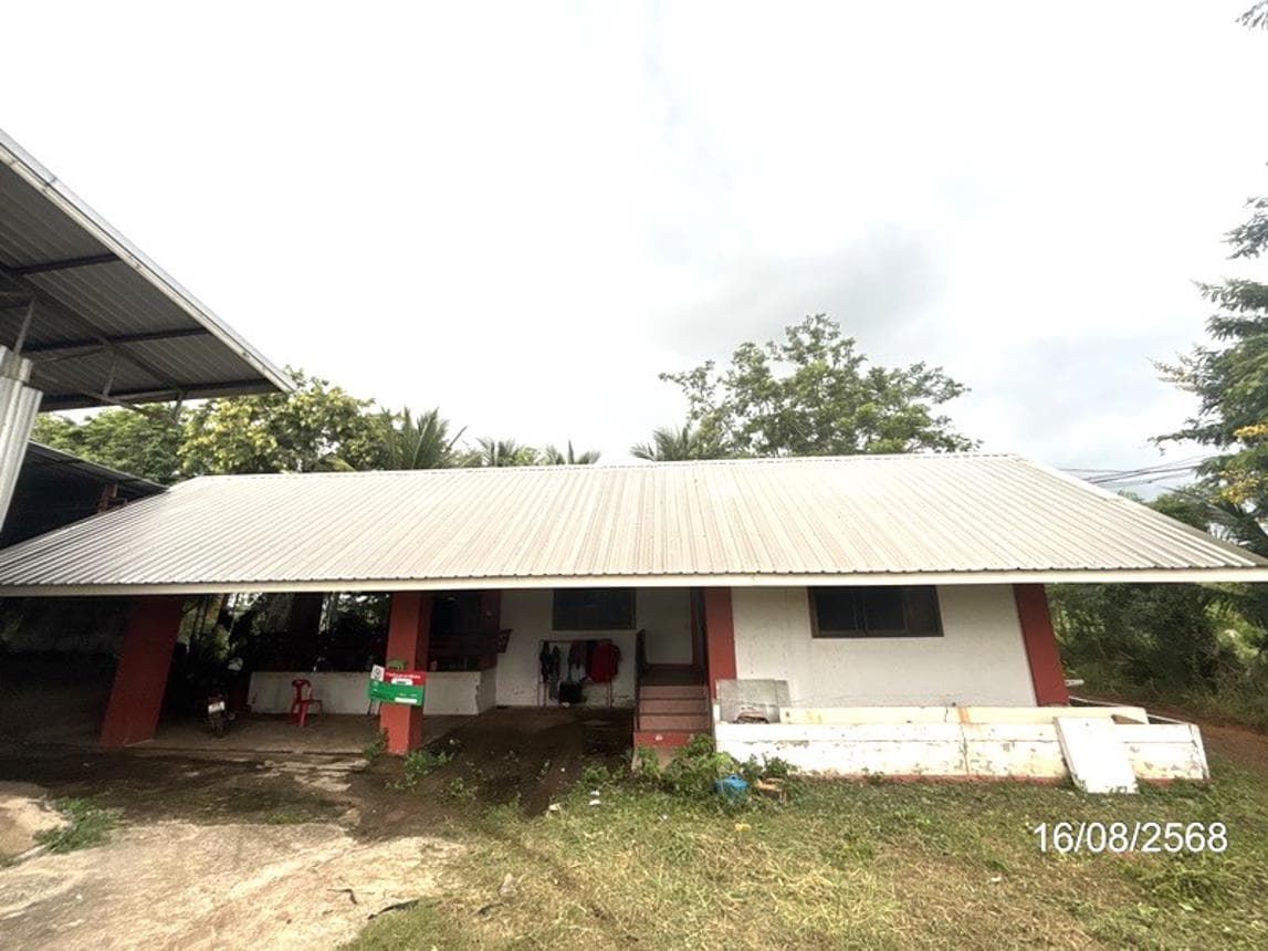 อาคารโรงงานพร้อมที่ดิน พื้นที่ใช้สอยกว้างขวาง 1,687 ตร.ม. ทำเลโลจิสติกส์ อำเภอเฉลิมพระเกียรติ นครราชสีมา