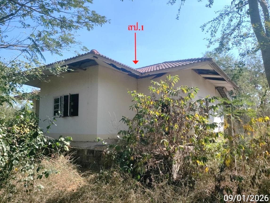 ขายบ้านเดี่ยว บรบือ บรบือ มหาสารคาม พื้นที่ 92.2 ตร.ว. พื้นที่ใช้สอย 131 ตร.ม. 2 ห้องนอน 1 ห้องน้ำ