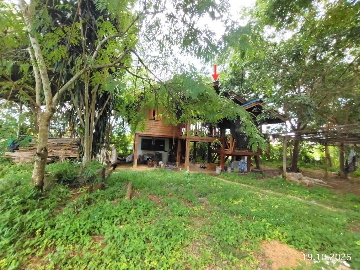 บ้านเดี่ยวทำเลศักยภาพ บ่อแก้ว นาหมื่น น่าน พื้นที่ใช้สอย 80 ตร.ม.
