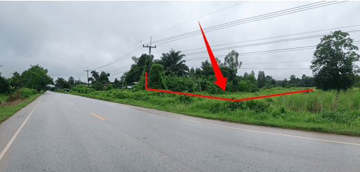 ที่ดินว่างเปล่า โครงการ บ้านผักบุ้ง อุดรธานี