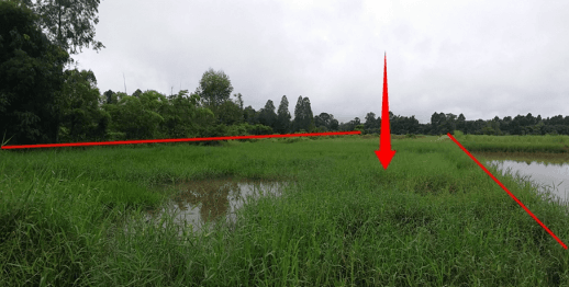 ที่ดินว่างเปล่า โครงการ บ้านผักบุ้ง อุดรธานี