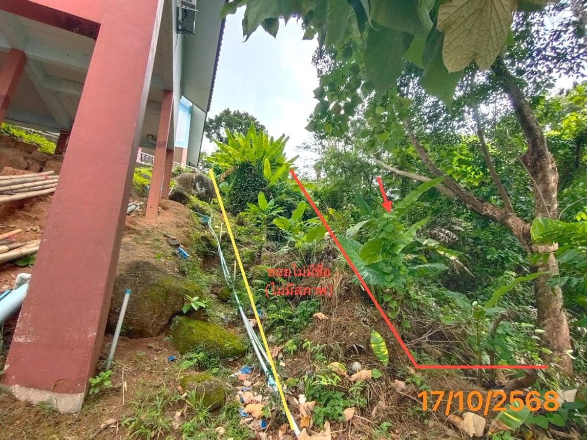 ขายที่ดินเปล่า กะรน เมืองภูเก็ต 65.1 ตร.ว. ทำเลทองใกล้หาด บรรยากาศพรีเมียม เหมาะสร้างวิลล่าหรู